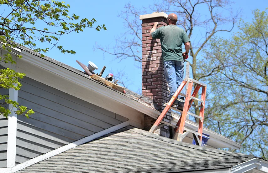 Chimney & Fireplace Inspections Services in Auburn Hills, MI